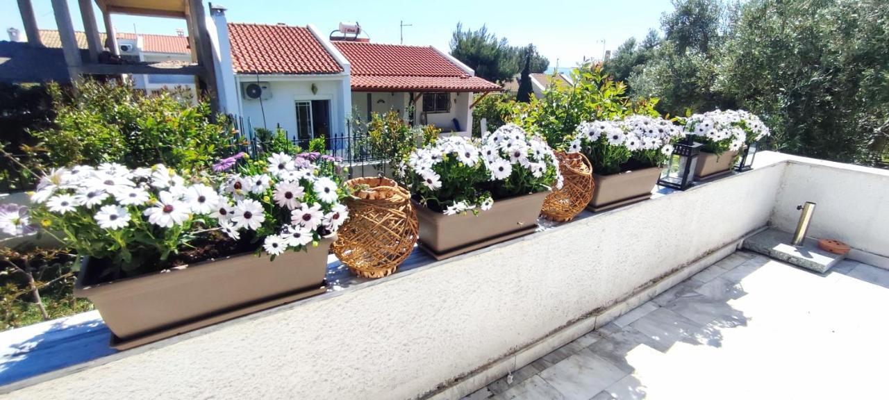 Villa Βianca In Sithonia Yerakini Eksteriør billede