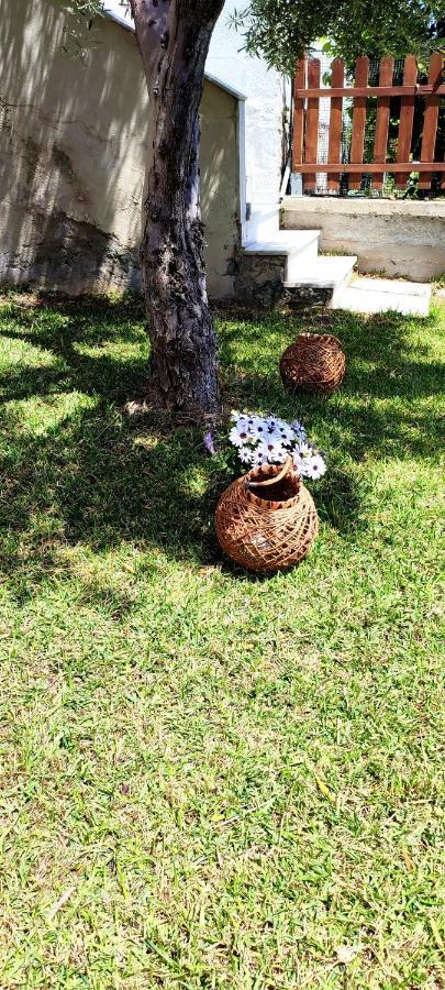 Villa Βianca In Sithonia Yerakini Eksteriør billede